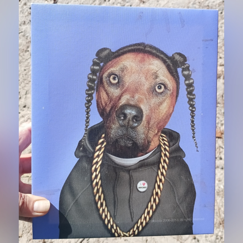 Pets Rock Celebrity Canvas Art Collection SNOOP DOGG Graphic Wall Art